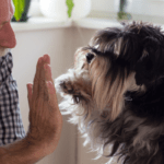 high five for care with home energy assistance