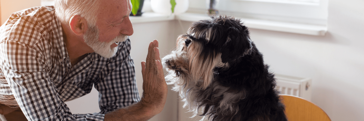 older man high fives his dog