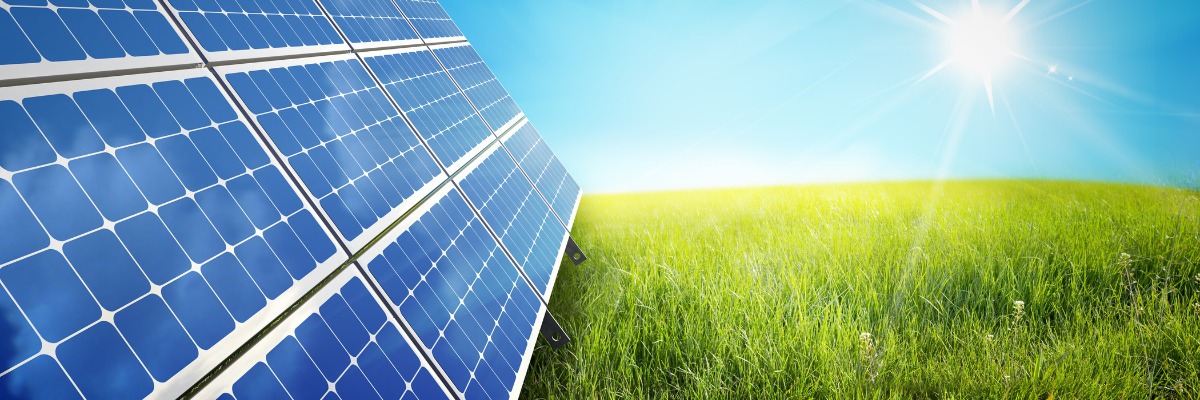 solar panel in grassy field